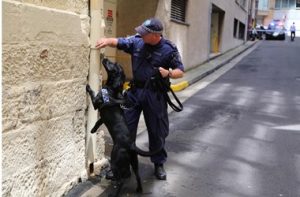 Police officer with a black dog in alleyway.