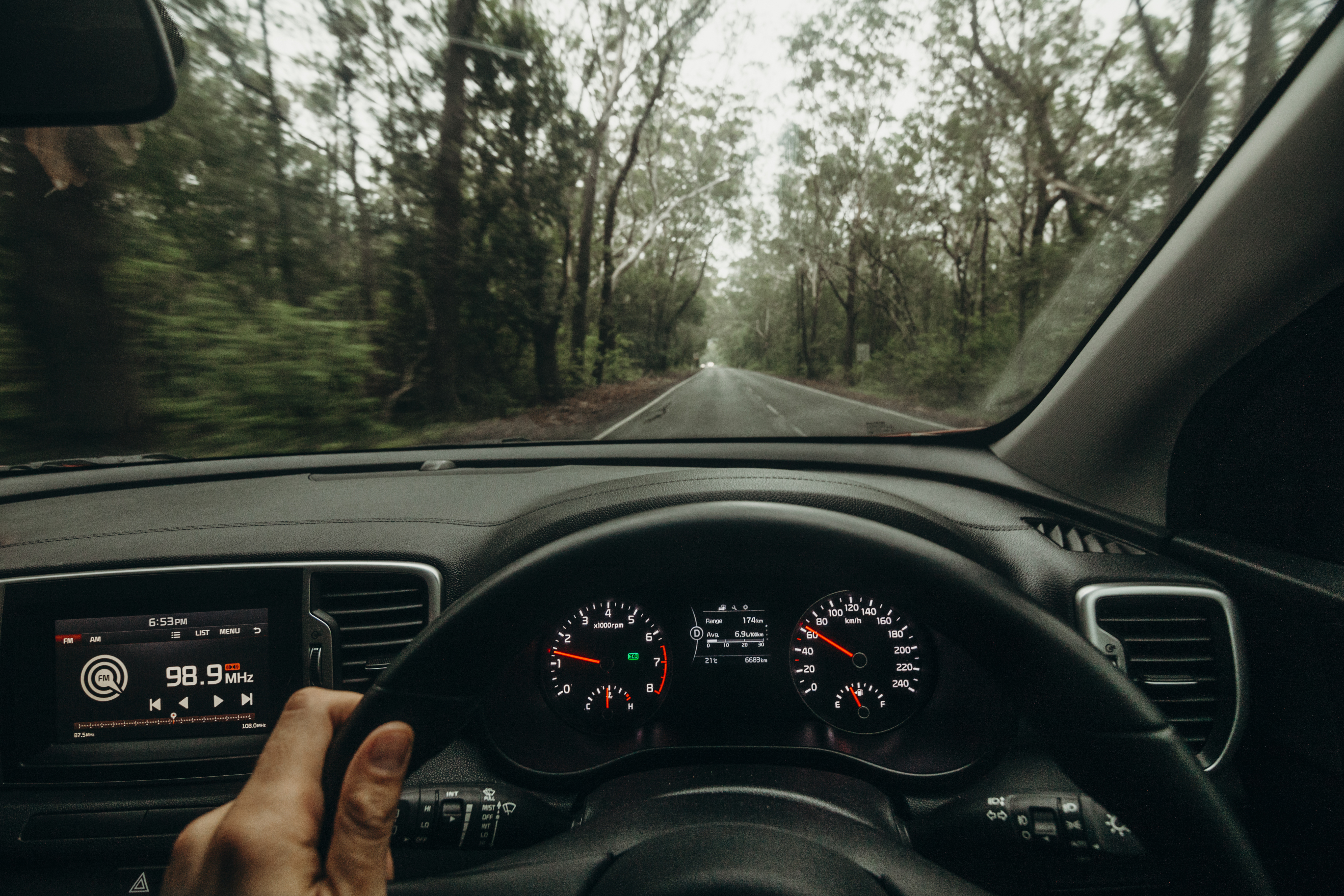 Driving through a forested road from car's perspective.