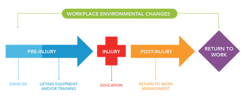 Flowchart depicting workplace injury management process.